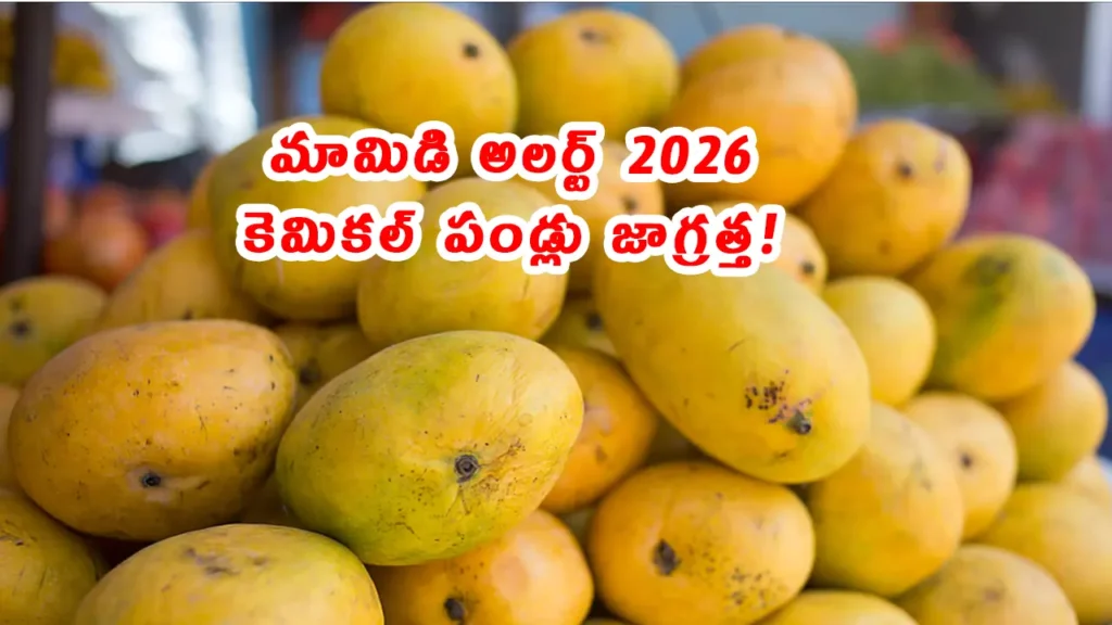 Hyderabad mango ripening chemical crackdown police 2026