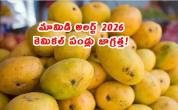Hyderabad mango ripening chemical crackdown police 2026
