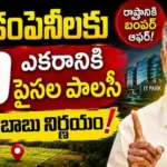 విశాఖలో IT రంగ అభివృద్ధి కోసం చంద్రబాబు ప్రభుత్వం ఎకరానికి 99 పైసలకు భూములు కేటాయించడంపై చర్చ జరుగుతోంది.