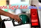 Petrol Diesel Price Hike : దేశవ్యాప్తంగా పెట్రోల్, డీజిల్ ధరల పెంపు