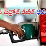 ఇరాన్-ఇజ్రాయెల్ సంక్షోభం ప్రభావంతో భారత్‌లో పెట్రోల్, డీజిల్ ధరలను లీటర్‌కు సుమారు రూ.3 పెంచినట్లు ఆయిల్ కంపెనీలు ప్రకటించాయి.