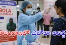 Telangana Ebola Alert : తెలంగాణలో ఎబోలా కేసులు లేవు.. ప్రభుత్వం అప్రమత్తం