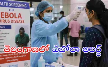 తెలంగాణలో ఇప్పటివరకు ఎబోలా కేసులు నమోదు కాలేదని ఆరోగ్య మంత్రి దామోదర రాజనర్సింహ తెలిపారు. హైదరాబాద్ ఎయిర్‌పోర్ట్‌లో ప్రత్యేక స్క్రీనింగ్ చర్యలు చేపట్టారు.