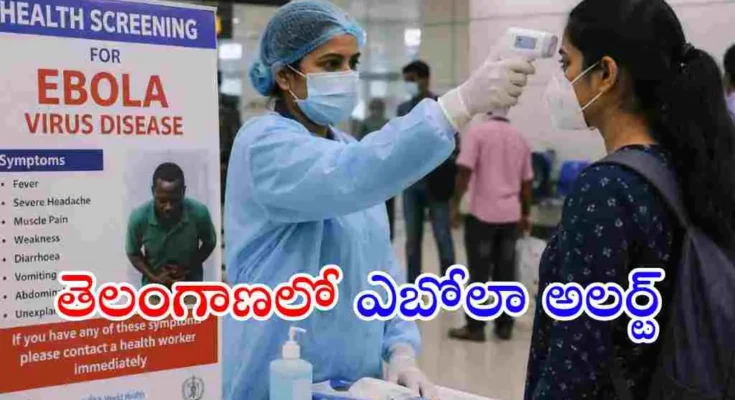 తెలంగాణలో ఇప్పటివరకు ఎబోలా కేసులు నమోదు కాలేదని ఆరోగ్య మంత్రి దామోదర రాజనర్సింహ తెలిపారు. హైదరాబాద్ ఎయిర్‌పోర్ట్‌లో ప్రత్యేక స్క్రీనింగ్ చర్యలు చేపట్టారు.