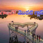 సిద్ధిపేటలో ఎల్లమ్మ చెరువు వద్ద తెలంగాణ తొలి హార్ట్-షేప్ గ్లాస్ బ్రిడ్జ్ నిర్మాణం కొనసాగుతోంది. హైదరాబాద్ దగ్గరలోనే ఉన్న ఈ కొత్త టూరిస్ట్ స్పాట్ గురించి పూర్తి వివరాలు తెలుసుకోండి.