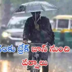 తెలంగాణలో మండుతున్న ఎండలకు త్వరలోనే ఉపశమనం లభించనుంది. జూన్ 1 నుంచి ఉరుములు, మెరుపులతో కూడిన వర్షాలు కురిసే అవకాశం ఉందని వాతావరణ నిపుణులు తెలిపారు.