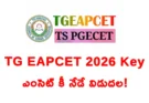 TG EAPCET 2026 Key: నేడే ఎంసెట్ రెస్పాన్స్ షీట్లు.. ఎలా డౌన్లోడ్ చేయాలి?