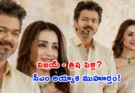 Speculations about Tamil actor Vijay and Trisha marriage
