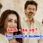 Speculations about Tamil actor Vijay and Trisha marriage