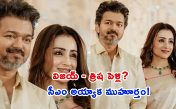 Speculations about Tamil actor Vijay and Trisha marriage