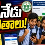 Telangana 10th Supplementary Results 2026 students checking SSC supply results online marks memo download