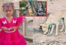 AP Missing Girl : 10 రోజులుగా ఆచూకీ లేదు.. చిన్నారి కోసం ముమ్మర గాలింపు