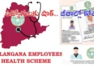 తెలంగాణలో ప్రభుత్వ ఉద్యోగుల జీతాల నుంచి EHS ప్రీమియం పేరుతో 1.5 శాతం కోత విధించడంపై ఉద్యోగులు ఆగ్రహం వ్యక్తం చేస్తున్నారు. హెల్త్ కార్డులు, మార్గదర్శకాలు లేకుండానే కోతలు విధించారని ఆరోపిస్తున్నారు.