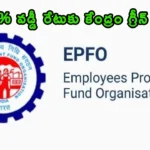 EPFO EPF Interest Rate Credit 8.25 percent ratification details 2026.