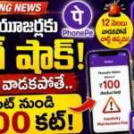 PhonePe Wallet Inactivity Maintenance Fee notification rules and penalty check.