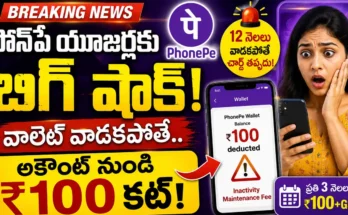 PhonePe Wallet Inactivity Maintenance Fee notification rules and penalty check.