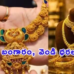Telangana Rain Alert IMD heavy rainfall warning and CM Revanth Reddy review meeting updates.