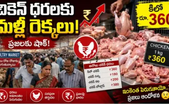 Chicken Price Today in Telangana reaches Rs 360 per kg due to rising demand and limited supply latest update