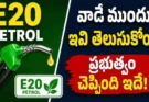 E20 Petrol Facts : E20 పెట్రోల్‌పై వస్తున్న వార్తలు నిజమేనా? కేంద్రం క్లారిటీ