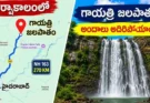Gayatri Waterfalls Adilabad : మొబైల్ సిగ్నల్ కూడా ఉండదు.. కానీ ప్రకృతి అందాలు మాత్రం మైమరిపిస్తాయి!