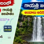 Gayatri Waterfalls Adilabad Telangana