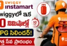 Swiggy Instamart LPG : Swiggyలో ఇక 10 నిమిషాల్లో LPG సిలిండర్.. కొత్త సేవ ప్రారంభం