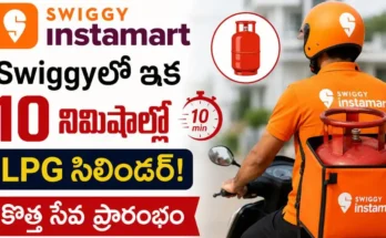 Swiggy Instamart LPG
