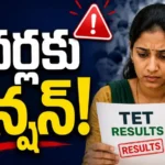Telangana Government Teachers Tet Results 2026 Pass Percentage