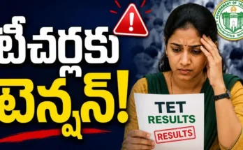 Telangana Government Teachers Tet Results 2026 Pass Percentage