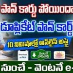 Duplicate PAN Card Apply Online 2026 - Step-by-step guide to reprint lost or damaged PAN card online using Aadhaar.