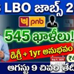 PNB IBO Recruitment 2026 – punjab national bank local bank officer 545 vacancies degree banking experience eligible apply online