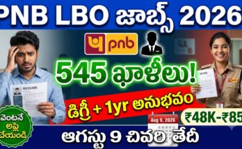 PNB IBO Recruitment 2026 – punjab national bank local bank officer 545 vacancies degree banking experience eligible apply online