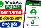 WhatsApp Username Guide : WhatsApp Username ఎలా సెట్ చేసుకోవాలి? స్టెప్ బై స్టెప్ గైడ్ ఇదే