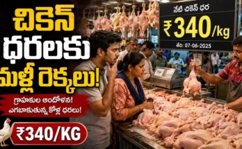 chicken-price-hike-telugu-states-july-2026