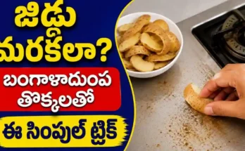 Potato Peel Cleaning Tips Telugu