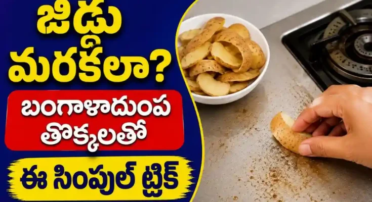 Potato Peel Cleaning Tips Telugu