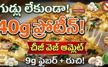Cheesy vegetarian omelette recipe – besan, paneer, mushrooms, spinach high protein breakfast without eggs.