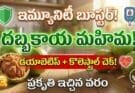 Immunity Boosting Foods: దబ్బకాయతో డయాబెటిస్, కొలెస్ట్రాల్ కు చెక్!