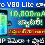 Vivo V80 Lite 10000mAh Battery - Global launch on September 3rd with 50MP camera and flat design.