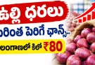 Telangana Onion Prices RS 80 kg