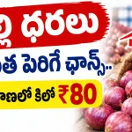 Telangana Onion Prices RS 80 kg
