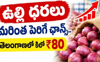 Telangana Onion Prices RS 80 kg