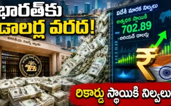 RBI Forex Reserves reach record high after major dollar inflows in India