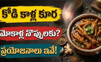 కోడి కాళ్ల కూర ప్రయోజనాలు : మోకాళ్ల నొప్పులకు సహాయపడే కోడి కాళ్ల కూర ప్రయోజనాలు మరియు తయారీ విధానం
