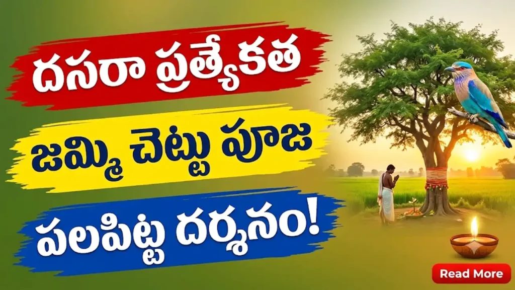 Dasara Special - Jammi Chettu Puja and Palapitta Darshanam Significance in Telangana