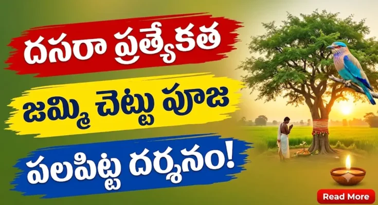 Dasara Special - Jammi Chettu Puja and Palapitta Darshanam Significance in Telangana