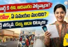 డీమార్ట్ షాపింగ్ టిప్స్: ఏ రోజు, ఏ సమయంలో వెళ్తే డబ్బు ఆదా?