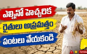 El Nino Warning Telangana - CM Revanth Reddy alerts farmers, asks not to cultivate crops