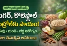 ఫైబర్ ఫుడ్స్: షుగర్, కొలెస్ట్రాల్ మరియు బరువు తగ్గించే ఫైబర్ ఫుడ్స్ (పీచు పదార్థం ఉండే ఆహారాలు)