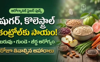 ఫైబర్ ఫుడ్స్: షుగర్, కొలెస్ట్రాల్ మరియు బరువు తగ్గించే ఫైబర్ ఫుడ్స్ (పీచు పదార్థం ఉండే ఆహారాలు)